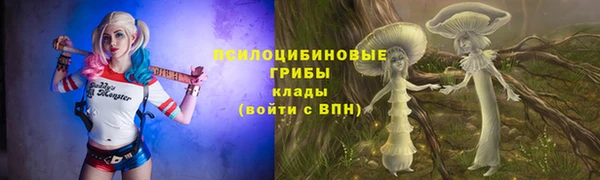 марки lsd Ельня