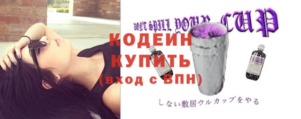 хмурый Елабуга