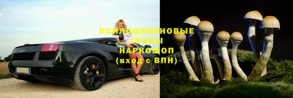 марки lsd Ельня