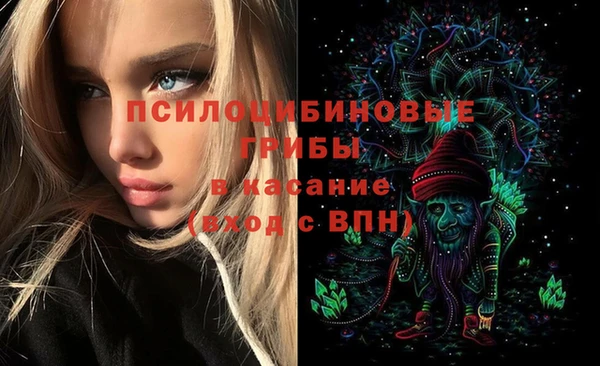 марки lsd Ельня
