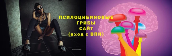хмурый Елабуга